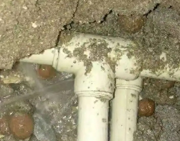 卫滨测漏水多少钱