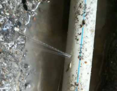 卫滨测漏水哪家好