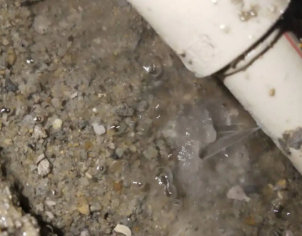 卫滨测漏水电话号码