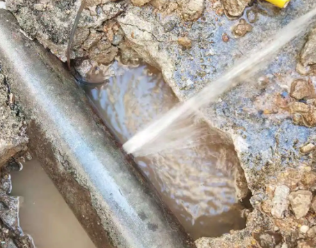 卫滨测漏水公司