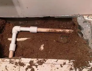 卫滨测漏水哪家好