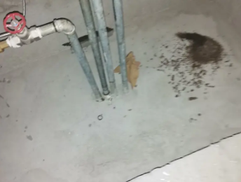 卫滨卫生间测漏水价格明细