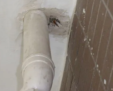 卫滨漏水检测哪家好